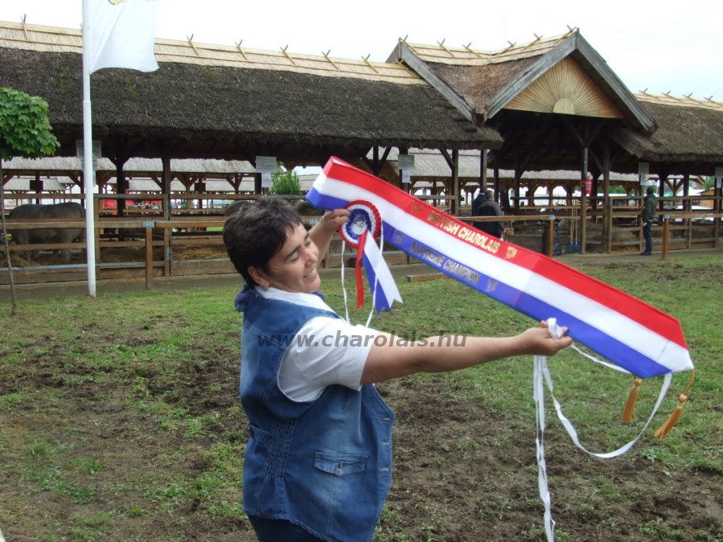 javahmvhely2014kis